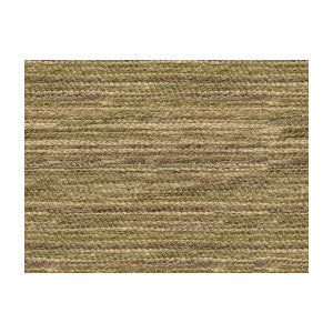 Earthen Grass by Kravet Couture Fabric