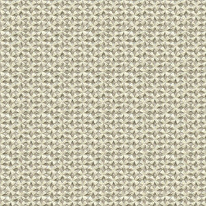 Kravet Couture 33763-1611 by Kravet Couture Fabric