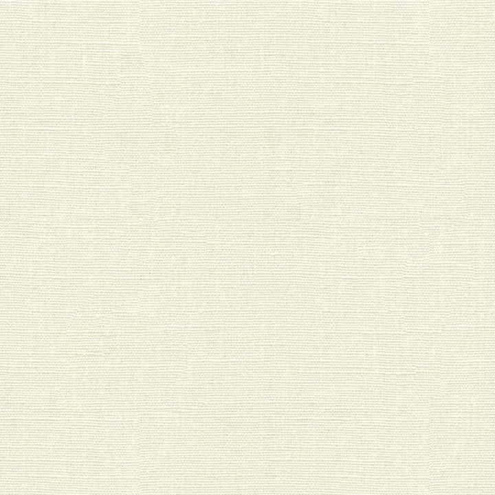 33771.101 by Kravet Basics Designer Fabric in our sample Linen 55%, Cotton 45% China Light Horizontal: See Sample and Vertical: See Sample 54 inches - Swanky Fabrics -