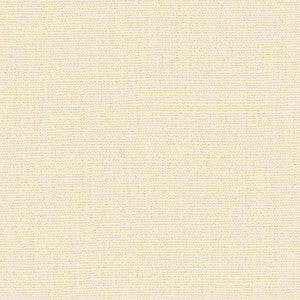 Kravet Basics 33771-1001 by Kravet Basics Fabric