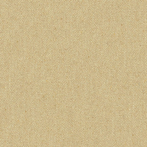 Kravet Basics 33771-116 by Kravet Basics Fabric