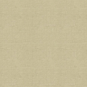 Kravet Basics 33771-1611 by Kravet Basics Fabric