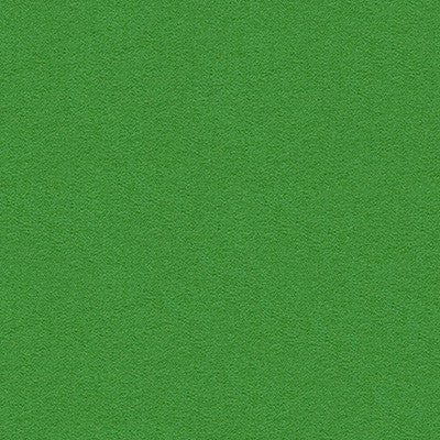 Bleeker Picnic Green by Kravet Design Fabric