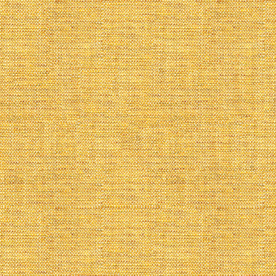 Rafael Chamois by Kravet Basics Fabric