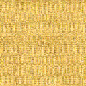 Rafael Chamois by Kravet Basics Fabric