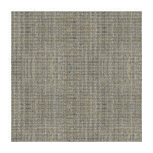 Rafael Coal by Kravet Basics Fabric