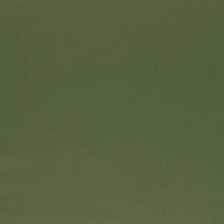 Ainsworth Satin Sage 3382017 by Schumacher Fabric OPULENT TEXTURES See Sample FRANCE NOT APPLICABLE </p><p>Repeat: Horizontal: - and Vertical: - 57" WIDE (145CM) - Fabric Carolina -