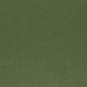 Ainsworth Satin Sage 3382017 by Schumacher Fabric