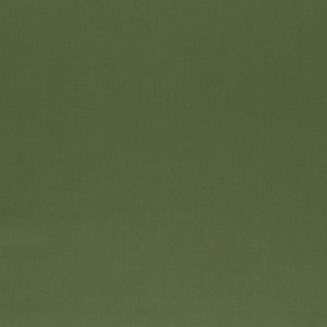 Ainsworth Satin Sage 3382017 by Schumacher Fabric