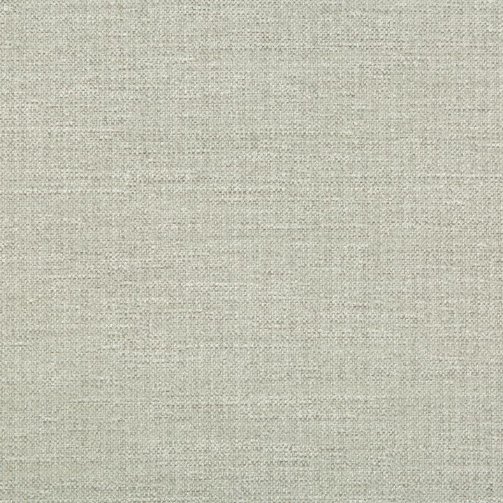 33831.1101 by Kravet Smart Designer Fabric Performance Crypton Home Rayon 72%, Polyester 28% USA Heavy Horizontal: see sample and Vertical: see sample 55 inches - Swanky Fabrics -