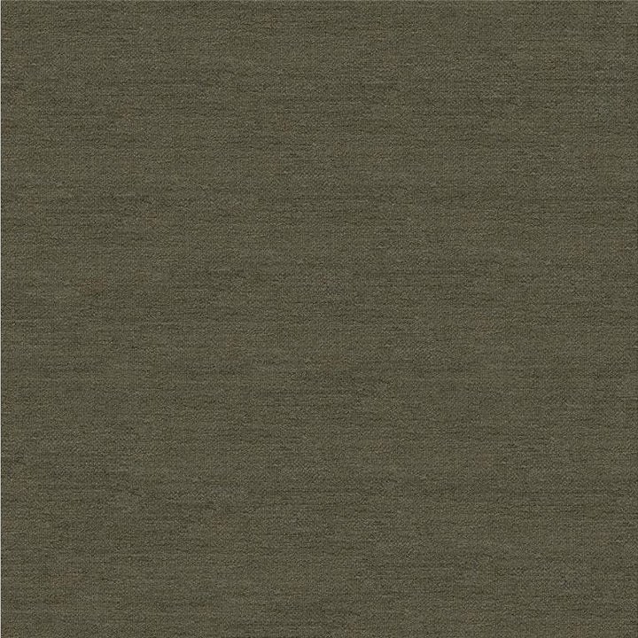 33831.21 by Kravet Smart Designer Fabric in our sample Rayon 72%, Polyester 28% USA Heavy Horizontal: See Sample and Vertical: See Sample 55 inches - Swanky Fabrics -