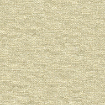 Kravet Smart 33831-1001 by Kravet Smart Fabric