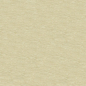 Kravet Smart 33831-1001 by Kravet Smart Fabric