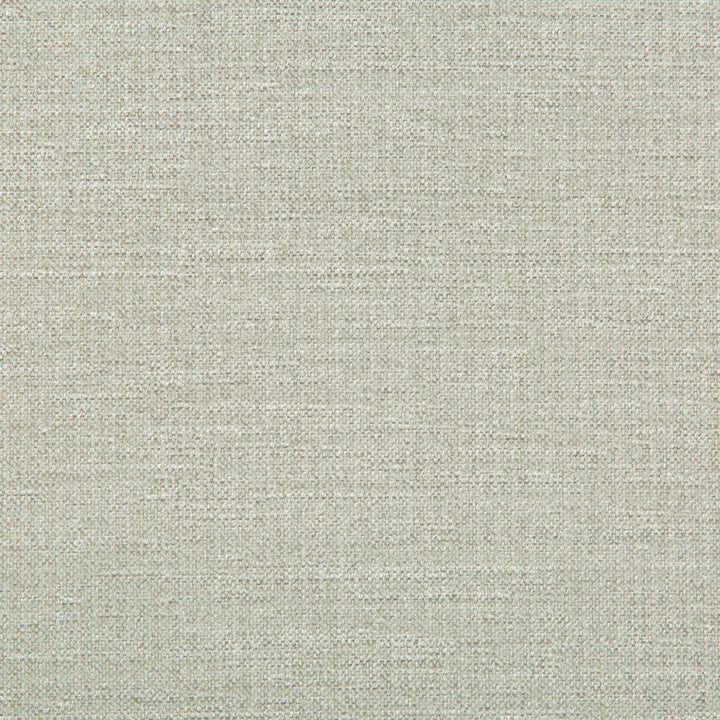 33831-1101 by Kravet Smart Fabric PERFORMANCE CRYPTON HOME RAYON - 72%;POLYESTER - 28% United States HEAVY Horizontal: - and Vertical: - 55 - Fabric Carolina -