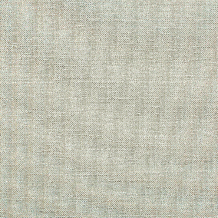 33831-1101 by Kravet Smart Designer Fabric PERFORMANCE CRYPTON HOME RAYON - 72%;POLYESTER - 28% United States HEAVY Horizontal: and Vertical: 55 - Swanky Fabrics -