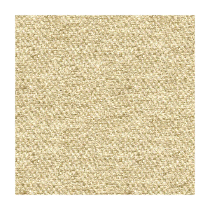 33831-1116 by Kravet Smart Fabric PERFORMANCE CRYPTON HOME RAYON - 72%;POLYESTER - 28% United States HEAVY Horizontal: - and Vertical: - 55 - Fabric Carolina -