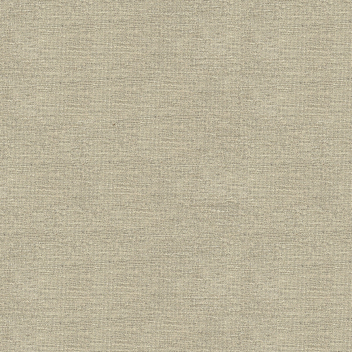 33831-1611 by Kravet Smart Fabric PERFORMANCE CRYPTON HOME RAYON - 72%;POLYESTER - 28% United States HEAVY Horizontal: and Vertical: 55 - Fabric Carolina -