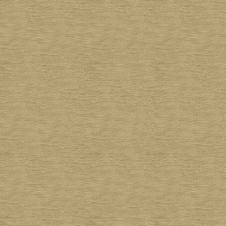 33831-1616 by Kravet Smart Fabric PERFORMANCE CRYPTON HOME RAYON - 72%;POLYESTER - 28% United States HEAVY Horizontal: and Vertical: 55 - Fabric Carolina -