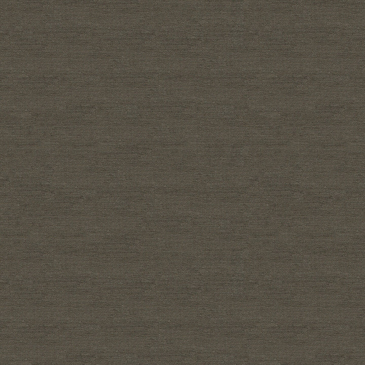 33831-21 by Kravet Smart Fabric PERFORMANCE CRYPTON HOME RAYON - 72%;POLYESTER - 28% United States HEAVY Horizontal: and Vertical: 55 - Fabric Carolina -
