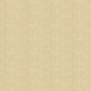 Kravet Smart 33832-1116 by Kravet Smart Fabric