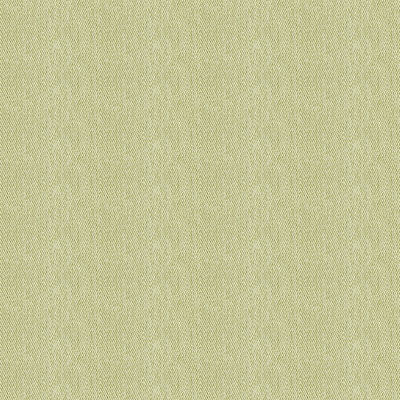 Terni Citron by Kravet Design Fabric