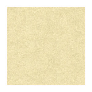 Chic Alpaca Blanc by Kravet Couture Fabric