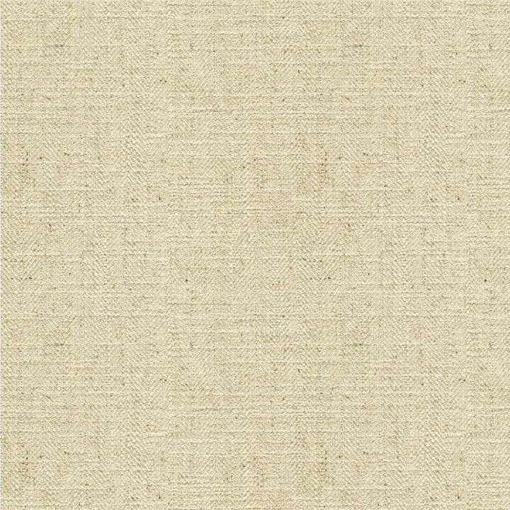 33842.2111 by Kravet Basics Designer Fabric in our sample Cotton 25%, Linen 25%, Polyester 25%, Rayon 25% India Heavy Horizontal: See Sample and Vertical: See Sample 54 inches - Swanky Fabrics -