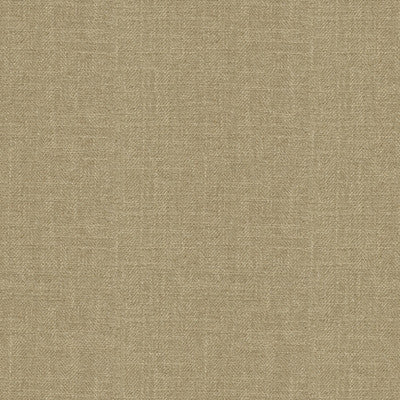 Kravet Basics 33842-106 by Kravet Basics Fabric