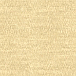 Kravet Basics 33842-114 by Kravet Basics Fabric