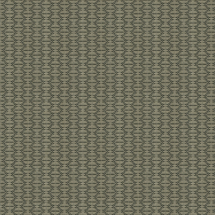 Nzuri Thunder by Kravet Contract Fabric TANZANIA J BANKS COLLECTION COTTON - 100% United States HEAVY Horizontal: 2.5 and Vertical: 1 59.5 - Fabric Carolina -