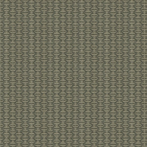 Nzuri Thunder by Kravet Contract Fabric