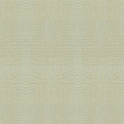 Saguaro Sea Foam by Kravet Couture Fabric