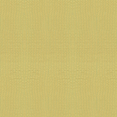 Saguaro Sulphur by Kravet Couture Fabric