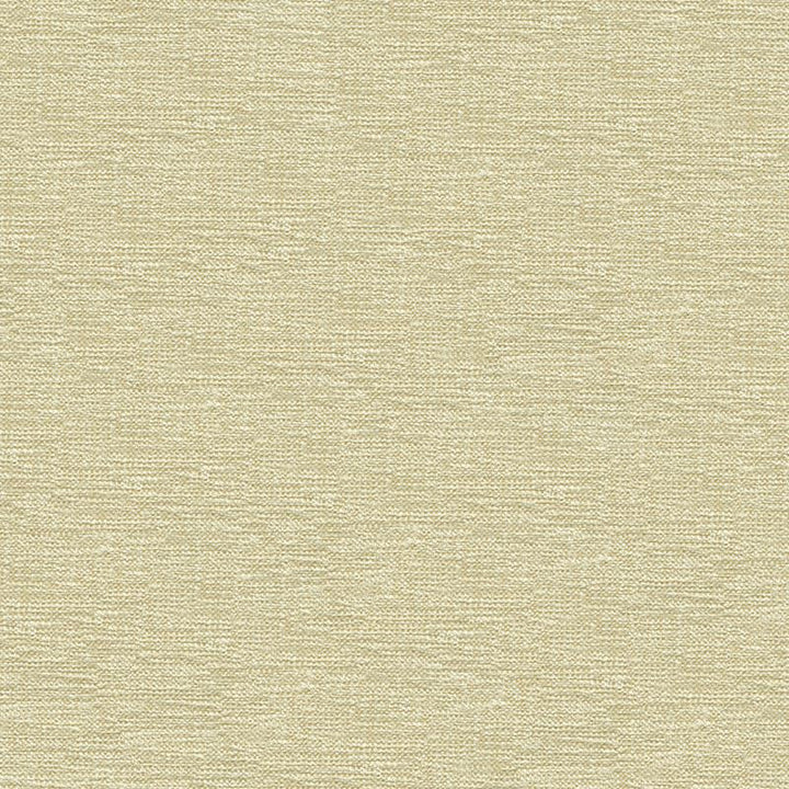 33876.1001 by Kravet Contract Designer Fabric in our sample Rayon 72%, Polyester 28% USA Heavy Horizontal: See Sample and Vertical: See Sample 55 inches - Swanky Fabrics -