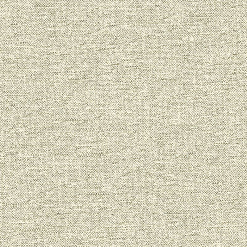 33876.1601 by Kravet Contract Designer Fabric Crypton Incase Rayon 72%, Polyester 28% USA Heavy Horizontal: see sample and Vertical: see sample 55 inches - Swanky Fabrics -