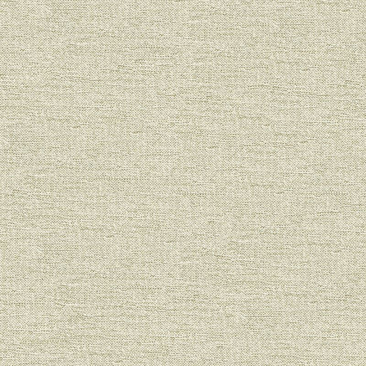 33876.1601 by Kravet Contract Designer Fabric Crypton Incase Rayon 72%, Polyester 28% USA Heavy Horizontal: see sample and Vertical: see sample 55 inches - Swanky Fabrics -