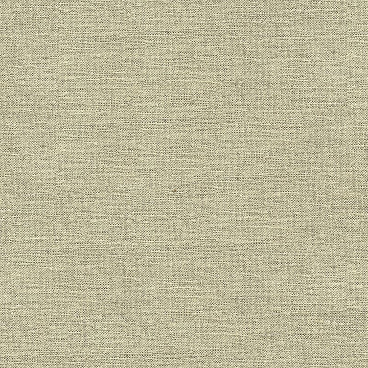 33876.1611 by Kravet Contract Designer Fabric Crypton Incase Rayon 72%, Polyester 28% USA Heavy Horizontal: see sample and Vertical: see sample 55 inches - Swanky Fabrics -