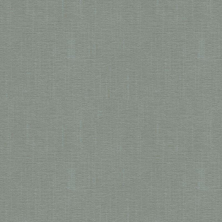 33876.52 by Kravet Contract Designer Fabric Crypton Incase Rayon 72%, Polyester 28% USA Heavy Horizontal: see sample and Vertical: see sample 55 inches - Swanky Fabrics -