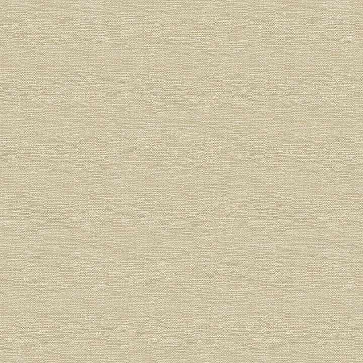 33876-1001 by Kravet Contract Designer Fabric CRYPTON INCASE RAYON - 72%;POLYESTER - 28% United States HEAVY Horizontal: - and Vertical: - 55 - Swanky Fabrics -