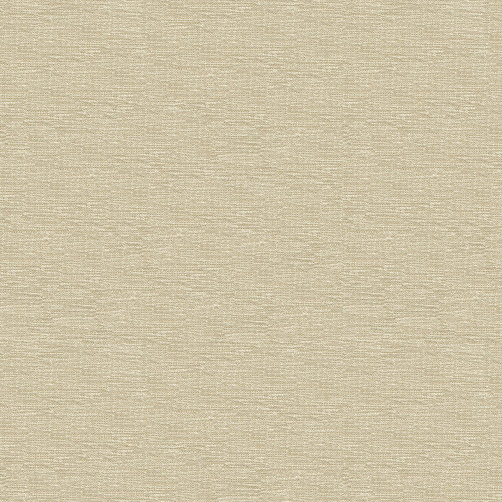 33876-1001 by Kravet Contract Fabric CRYPTON INCASE RAYON - 72%;POLYESTER - 28% United States HEAVY Horizontal: and Vertical: 55 - Fabric Carolina -