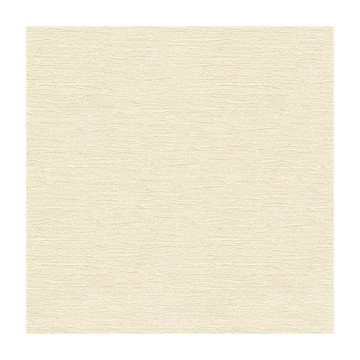 33876-101 by Kravet Contract Designer Fabric CRYPTON INCASE RAYON - 72%;POLYESTER - 28% United States HEAVY Horizontal: and Vertical: 55 - Swanky Fabrics -