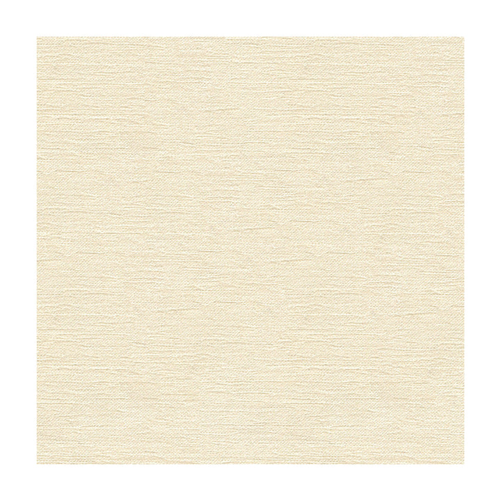 33876-101 by Kravet Contract Fabric CRYPTON INCASE RAYON - 72%;POLYESTER - 28% United States HEAVY Horizontal: and Vertical: 55 - Fabric Carolina -