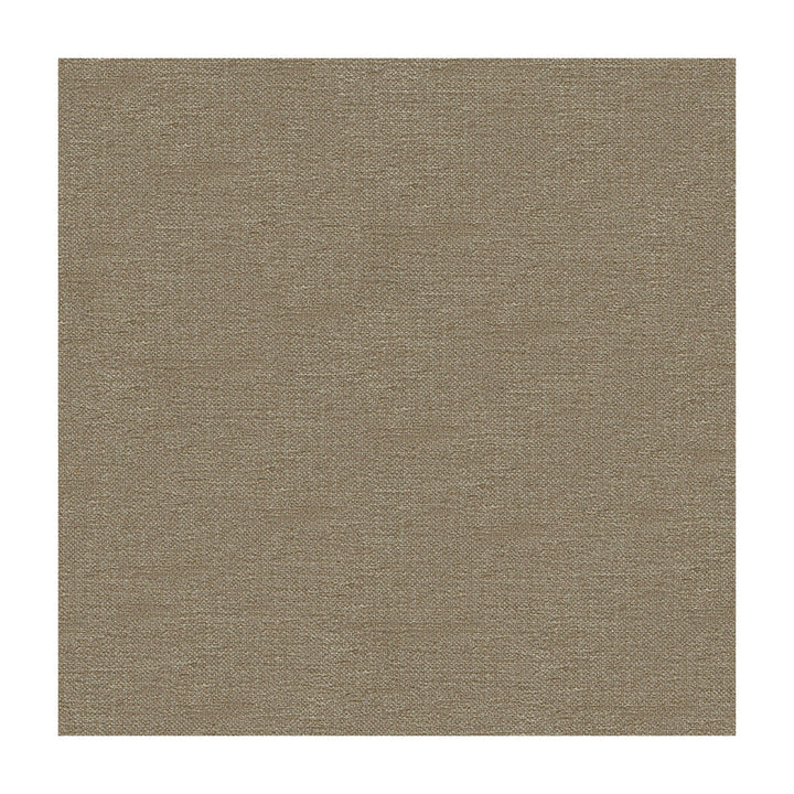 33876-106 by Kravet Contract Fabric CRYPTON INCASE RAYON - 72%;POLYESTER - 28% United States HEAVY Horizontal: - and Vertical: - 55 - Fabric Carolina -