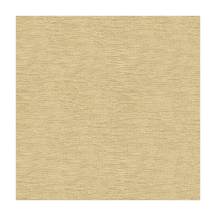 33876-116 by Kravet Contract Designer Fabric CRYPTON INCASE RAYON - 72%;POLYESTER - 28% United States HEAVY Horizontal: and Vertical: 55 - Swanky Fabrics -