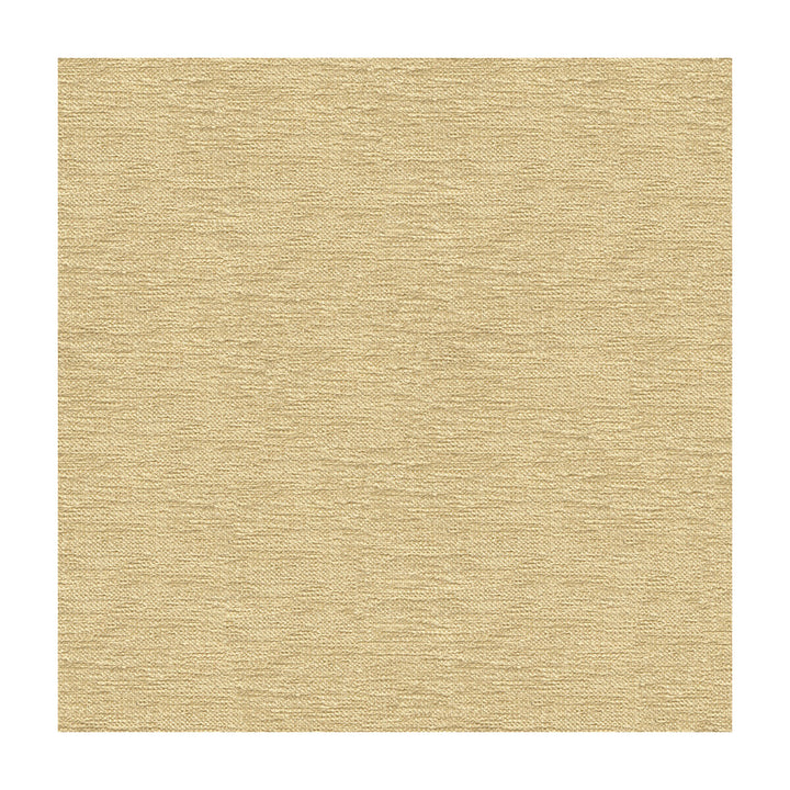 33876-116 by Kravet Contract Fabric CRYPTON INCASE RAYON - 72%;POLYESTER - 28% United States HEAVY Horizontal: and Vertical: 55 - Fabric Carolina -