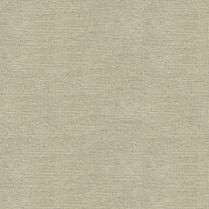 33876-1611 by Kravet Contract Designer Fabric CRYPTON INCASE RAYON - 72%;POLYESTER - 28% United States HEAVY Horizontal: and Vertical: 55 - Swanky Fabrics -
