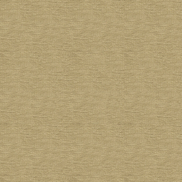 33876-1616 by Kravet Contract Designer Fabric CRYPTON INCASE RAYON - 72%;POLYESTER - 28% United States HEAVY Horizontal: and Vertical: 55 - Swanky Fabrics -