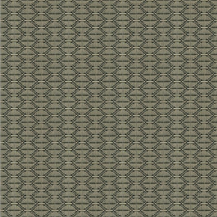 33880.1621 by Kravet Design Designer Fabric Tanzania J Banks Cotton 100% USA Heavy Horizontal: 2.5 inches and Vertical: 1 inch 59.5 inches - Swanky Fabrics -