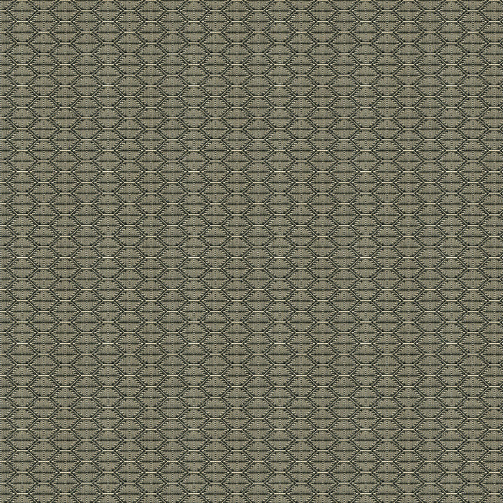 33880-1621 by Kravet Design Designer Fabric TANZANIA J BANKS COLLECTION COTTON - 100% United States HEAVY Horizontal: 2.5 and Vertical: 1 59.5 - Swanky Fabrics -