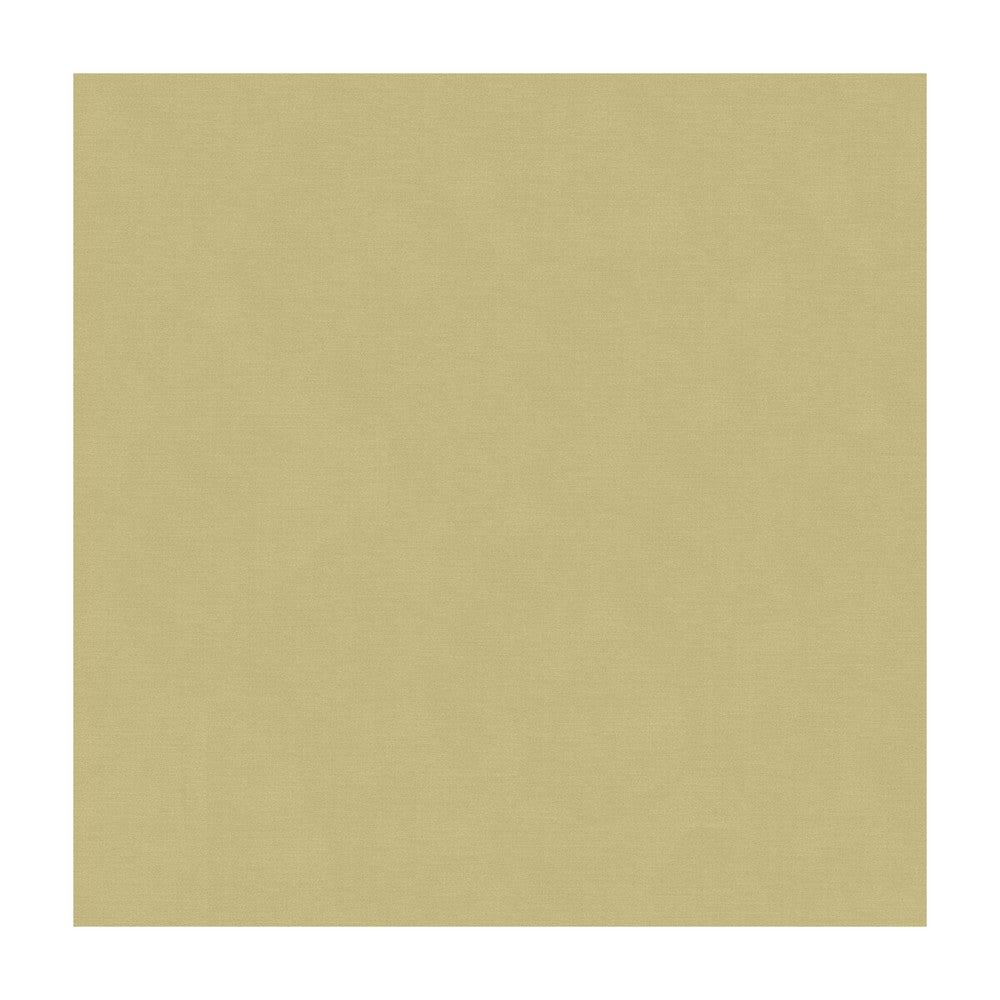 33886-1106 by Kravet Couture Fabric COTTON - 61%;SILK - 39% India Horizontal: and Vertical: 55 - Fabric Carolina -